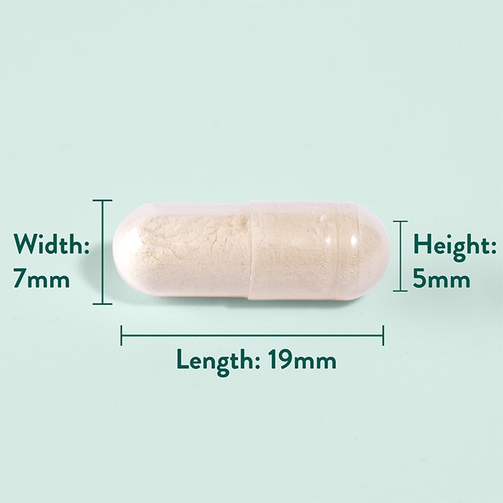 Grønlæbet musling - Πράσινο Χείλος Μύδι, 1000 mg · 120 κάψουλες - Image 4