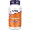 NOW Foods - Pycnogenol med Acerola & Rutin Pulver
