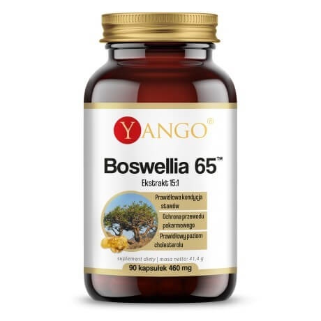 YANGO Boswellia 65 (90 caps)